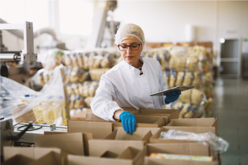 auditora en una empresa trabajando