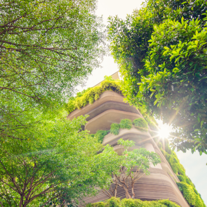 Edifici green