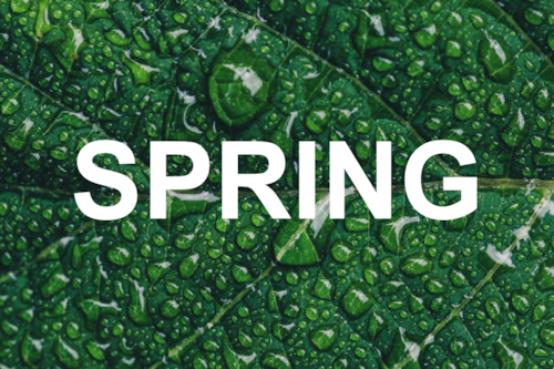 Foto de SPRING