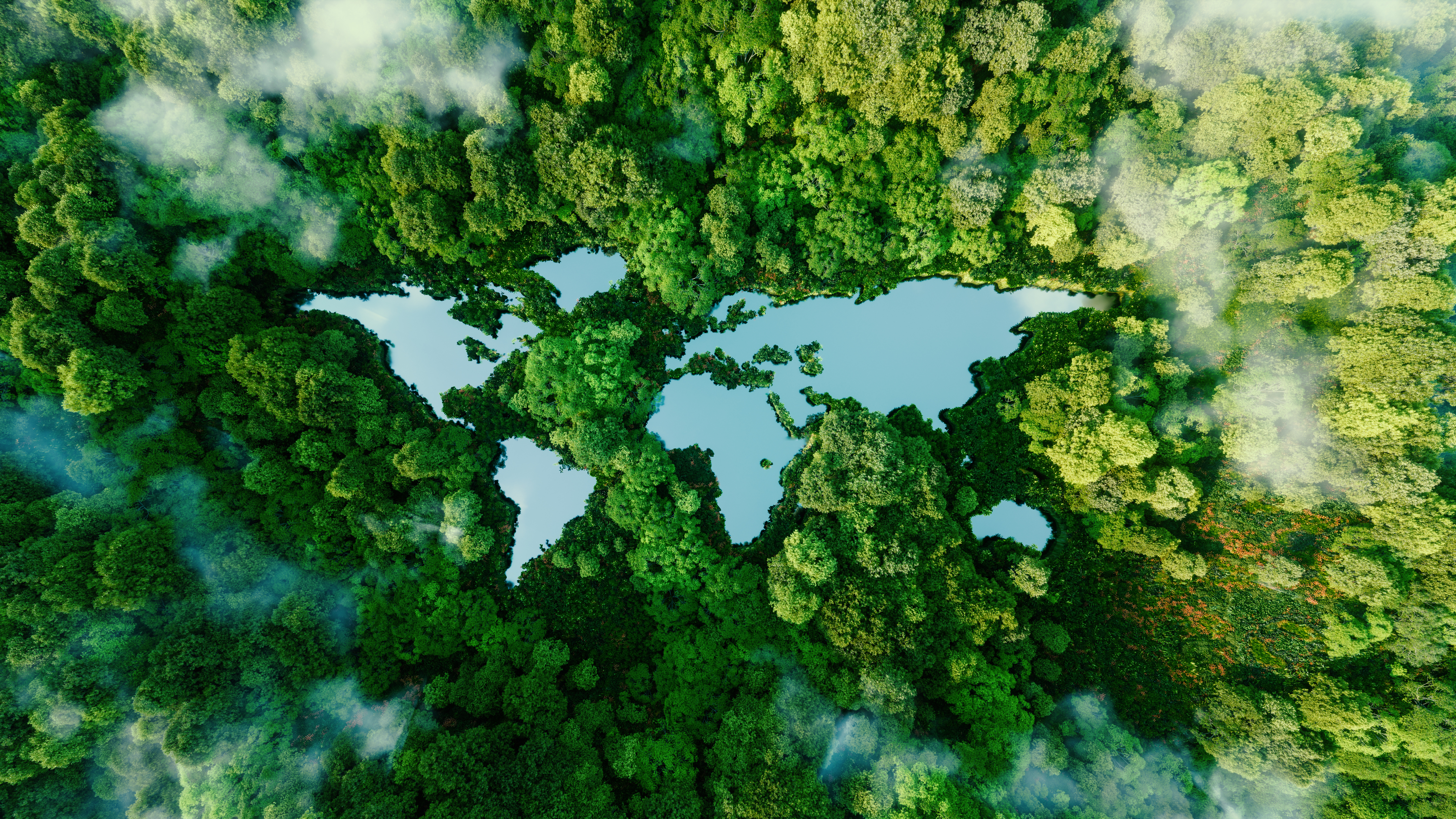 Vista aérea de una selva tropical con lagunas azules entre el dosel verde y niebla ligera.