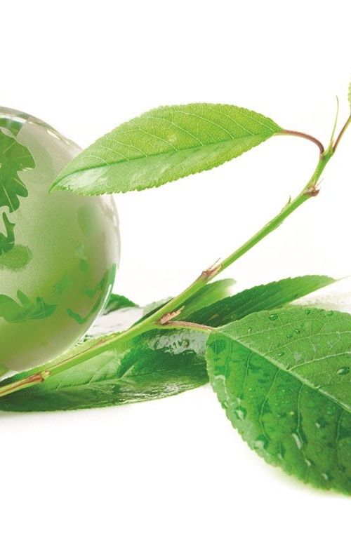 Green globe CSR