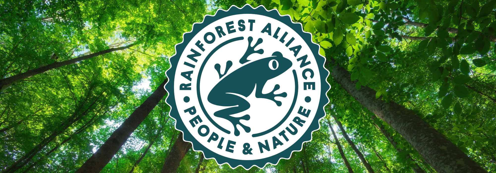 Logotipo de Rainforest Alliance con la imagen de una rana rodeada por las palabras "People & Nature", colocado sobre un fondo de árboles y hojas verdes.