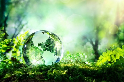Glass globe with a world map design resting on moss in a lush green forest with sunlight filtering through the trees.
