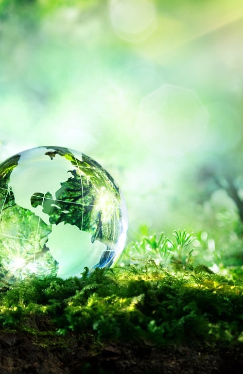 Globe in green landscape