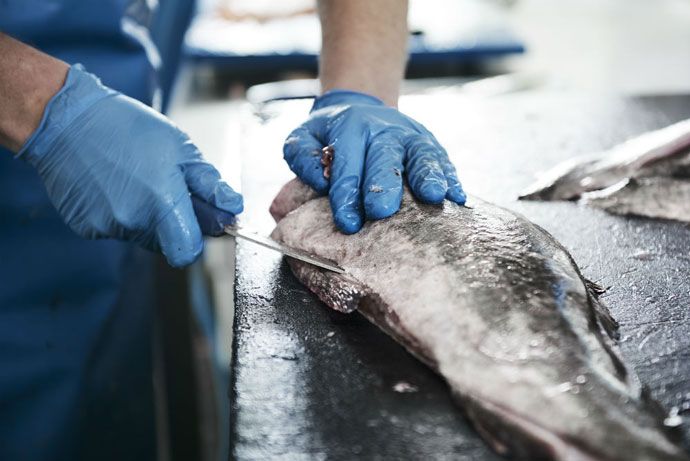 Pesca