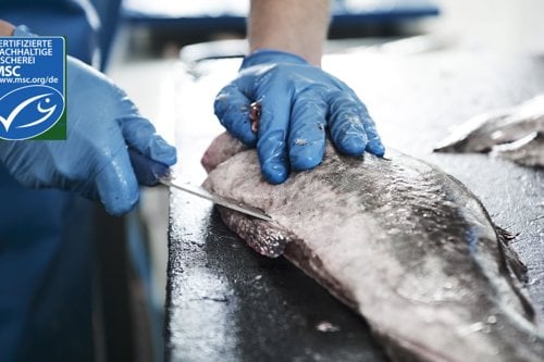 fish butchering