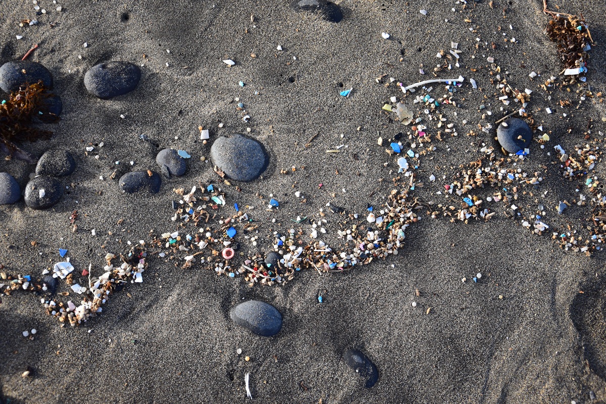 Dark sandy beach scattered with plastic debris and small black stones.