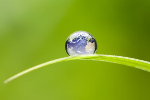 Een wereld bol met een natuurlijke achtergrond